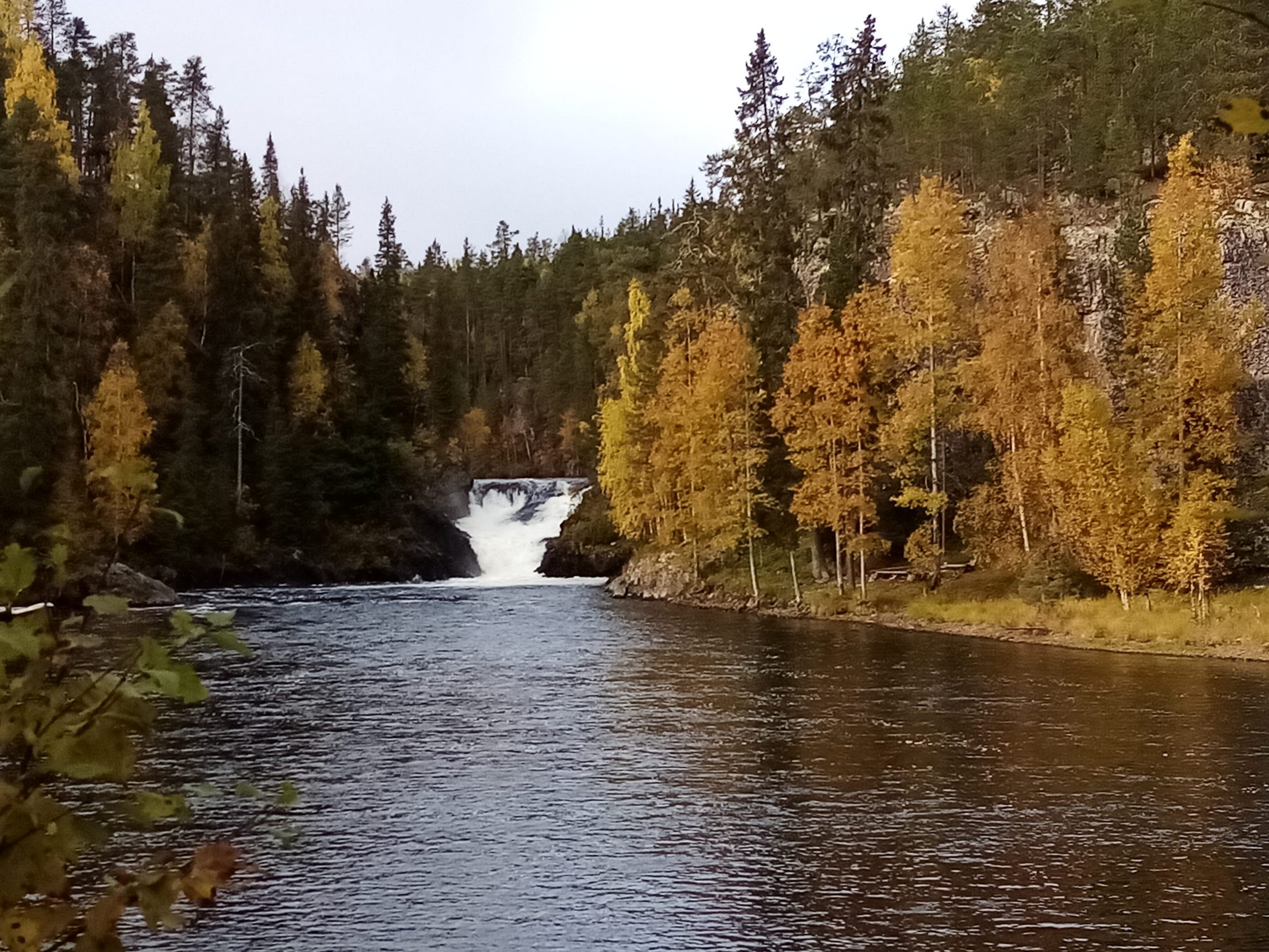 Tarina jatkuu…