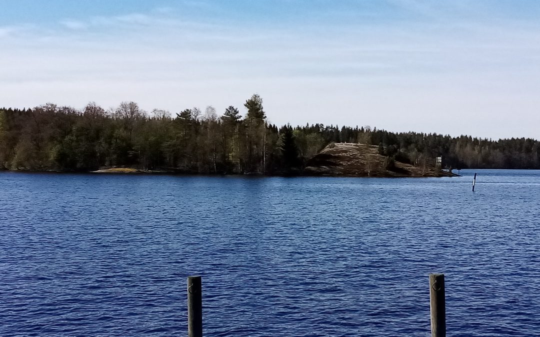 Saaga Travel viettää 1-vuotis synttäreitä!